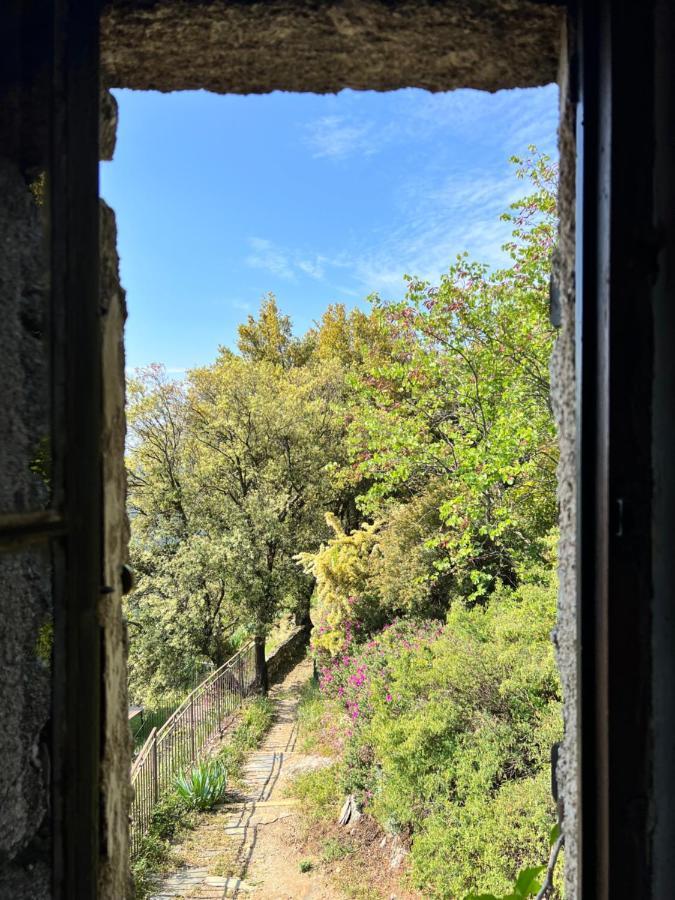 Les Gites D'Ardaillers Valleraugue Exterior foto